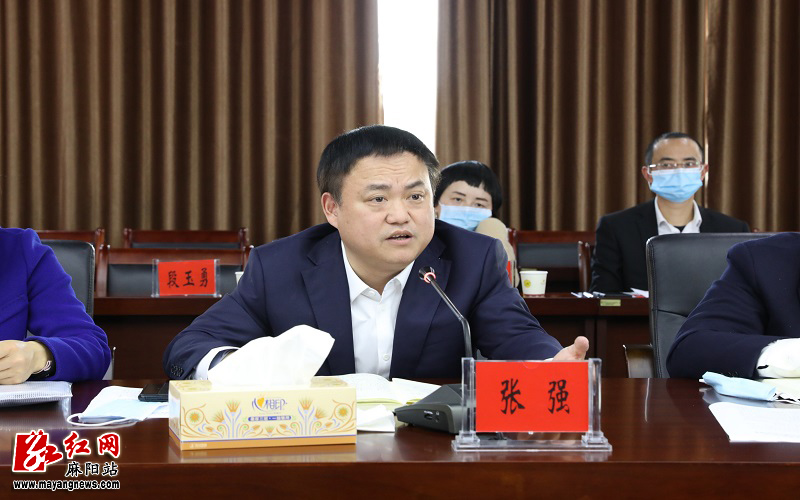 聚焦两会张强参加县七届人大六次会议第四讨论组讨论