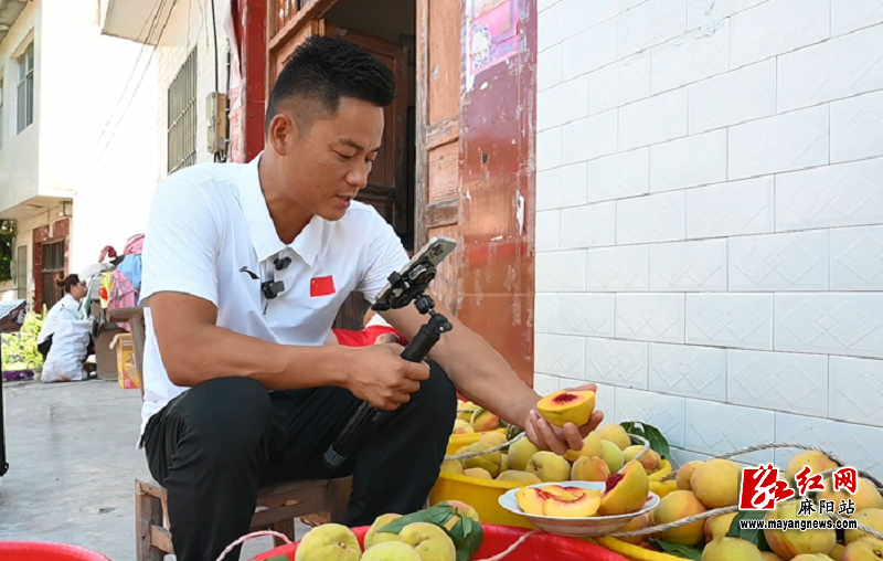 微信图片_20240809093049.png