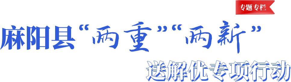 麻阳苗族自治县“两重”“两新”送解优专项行动
