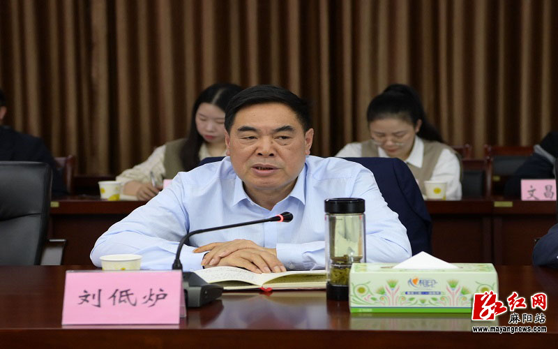 党史学习教育市委巡回指导组指导麻阳党史学习教育情况反馈会召开