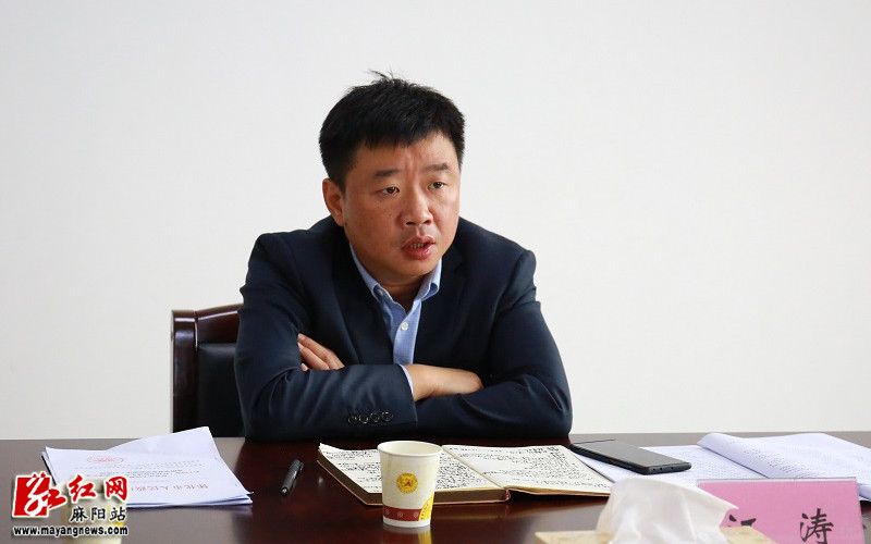县委副书记,代理县长胡宏林,县领导唐军,石谋洲,李仪