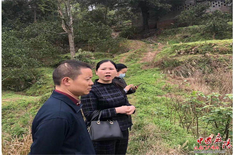 麻阳县民政局实地考察革命老区扶贫项目建设