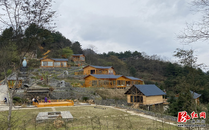 苗家汉子黄成宝:大山里建民宿 荒山变金山