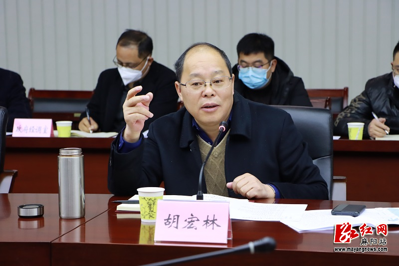胡宏林主持召开《政府工作报告》征求意见座谈会 - 麻阳苗族自治县人民政府