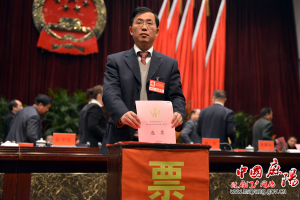 县委书记胡佳武投票