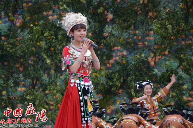 "2014中国怀化(麻阳)冰糖橙采摘节"隆重开幕